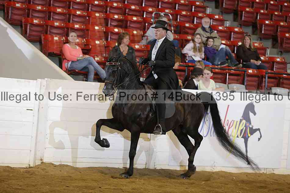Proof 14buck_1395