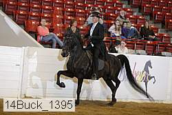 14buck_1395 proof