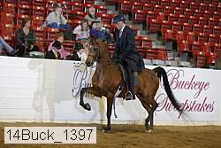 14buck_1397 proof