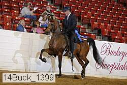 14buck_1399 proof