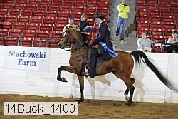 14buck_1400 proof