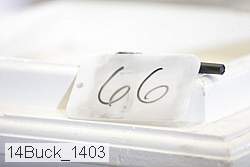 14buck_1403 proof