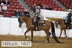 14buck_1407 proof
