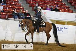 14buck_1409 proof