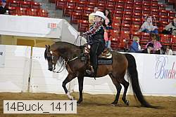 14buck_1411 proof