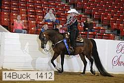 14buck_1412 proof