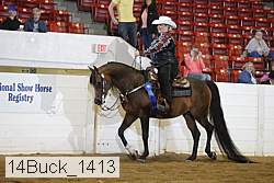 14buck_1413 proof