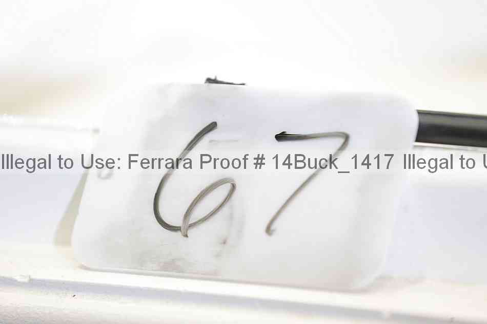 Proof 14buck_1417