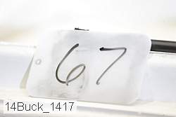 14buck_1417 proof