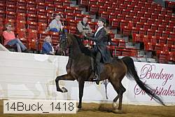 14buck_1418 proof