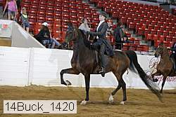 14buck_1420 proof