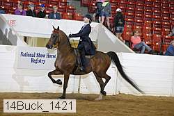 14buck_1421 proof