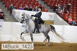 14buck_1423 proof