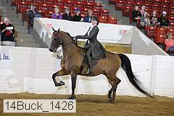 14buck_1426 proof