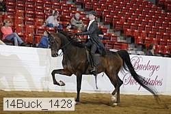 14buck_1428 proof