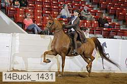 14buck_1431 proof