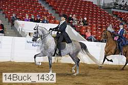 14buck_1432 proof