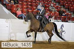 14buck_1435 proof