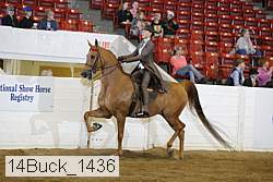 14buck_1436 proof