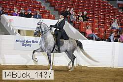 14buck_1437 proof