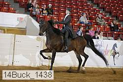 14buck_1438 proof