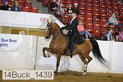 14buck_1439 proof
