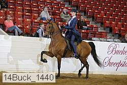 14buck_1440 proof