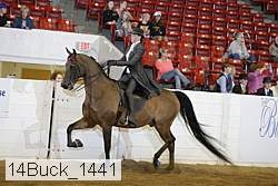 14buck_1441 proof
