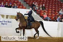 14buck_1442 proof