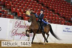 14buck_1443 proof