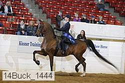 14buck_1444 proof
