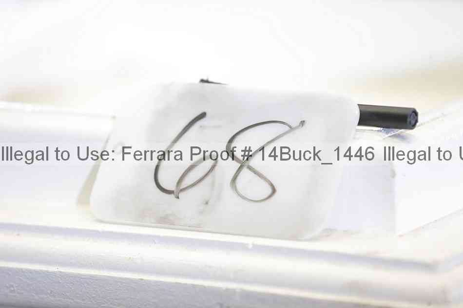 Proof 14buck_1446
