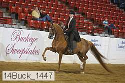 14buck_1447 proof