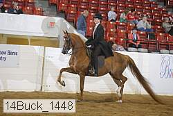 14buck_1448 proof