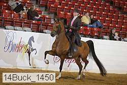 14buck_1450 proof