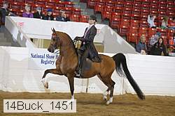 14buck_1451 proof