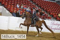 14buck_1454 proof