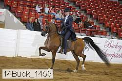 14buck_1455 proof