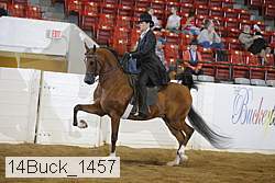14buck_1457 proof