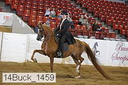 14buck_1459 proof