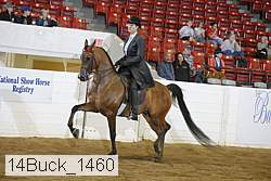 14buck_1460 proof