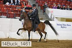 14buck_1461 proof