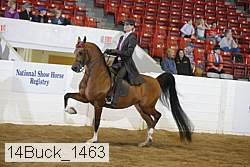 14buck_1463 proof