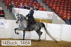 14buck_1464 proof