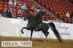 14buck_1466 proof