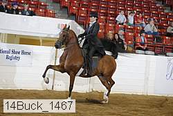 14buck_1467 proof