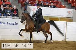 14buck_1471 proof