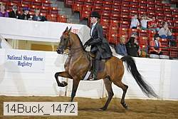 14buck_1472 proof