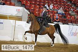14buck_1475 proof