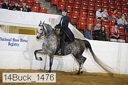 14buck_1476 proof